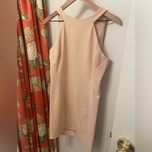 Elizabeth and James Nude Mini Dress